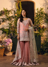 HemStitch Festive Embroidered Net 3 Piece Unstitched Suit HS24FE D-01 RAYA